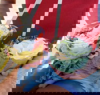 Beach Bowls - Redcliffe Tourism