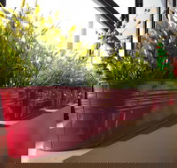 Dinoni - Redcliffe Tourism