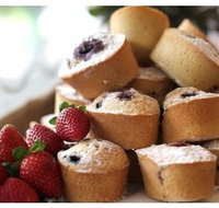 Cordonys - Redcliffe Tourism