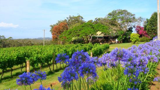 Port Macquarie NSW Redcliffe Tourism