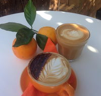 The Orange Tree - licensed cafe by the river - Redcliffe Tourism