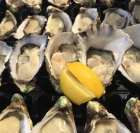 The Oyster Shed - Redcliffe Tourism