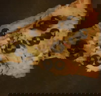 Zannies Pizzas - Redcliffe Tourism