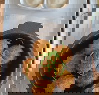 No. 7 - Redcliffe Tourism