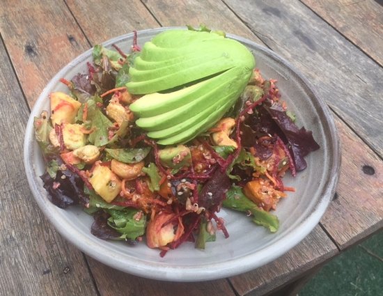 Yarratt Forest NSW Redcliffe Tourism