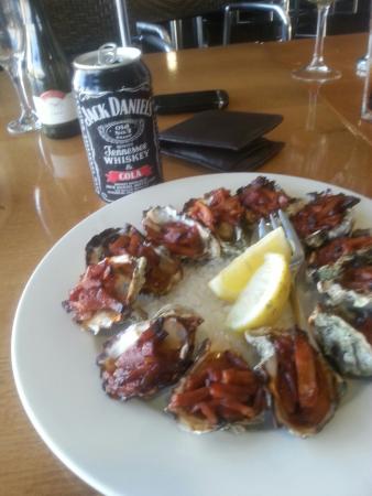 Newcastle Cruising Yacht Club - Redcliffe Tourism 0