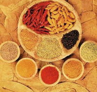 Tehzeeb Indian and Australian Restaurant - Redcliffe Tourism