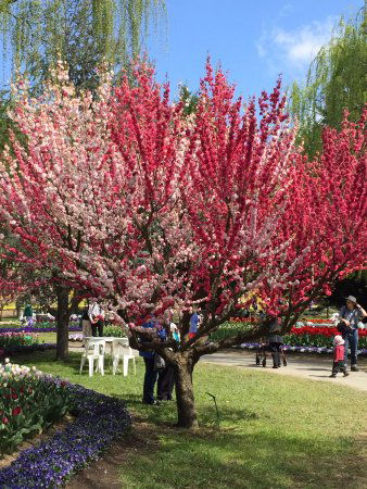 Ngunnawal ACT Redcliffe Tourism