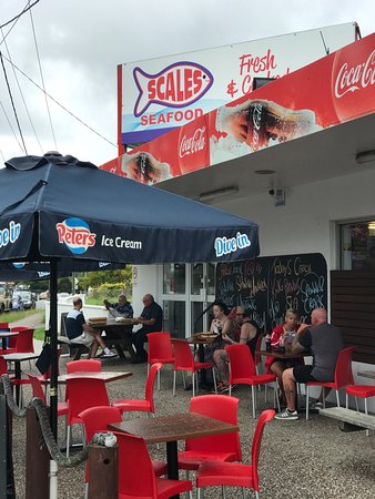 Scales Seafood - Redcliffe Tourism 0