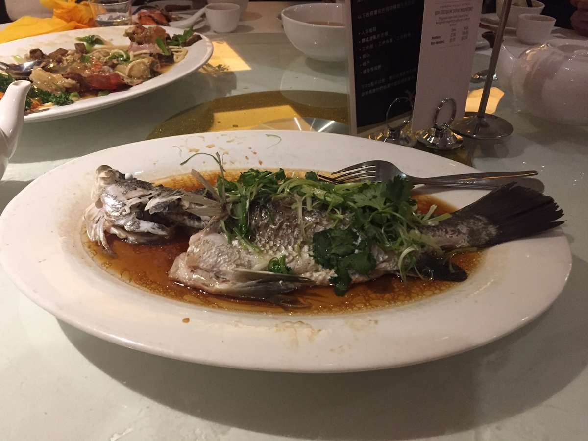 West Ryde NSW Redcliffe Tourism