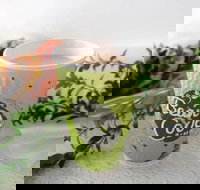 Bean Code - Redcliffe Tourism