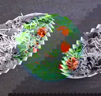 Bootsdarling - Redcliffe Tourism