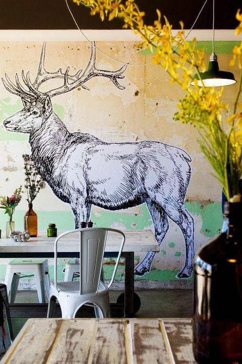 Elk Espresso - Redcliffe Tourism 0