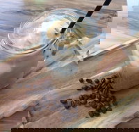 Allure Cafe  Co - Redcliffe Tourism