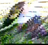 Chiswick Restaurant Woollahra - Redcliffe Tourism