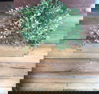 Double Mac - Redcliffe Tourism