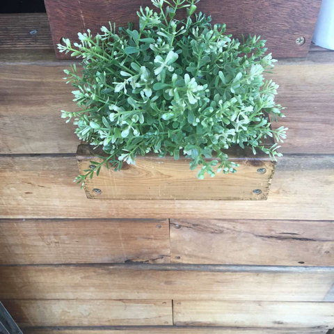 Double Mac - Redcliffe Tourism 0