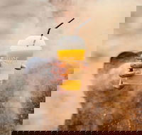 Little Caesars - Darlinghurst - Darlinghurst - Redcliffe Tourism