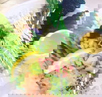 Minimo - Redcliffe Tourism