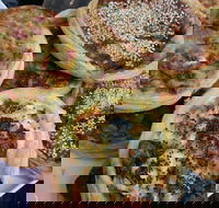 The Re Store Northbridge - Redcliffe Tourism