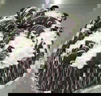 Caf Siciliadolce Pasticceria - Redcliffe Tourism