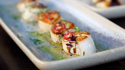 Da Vinci's - Redcliffe Tourism 0