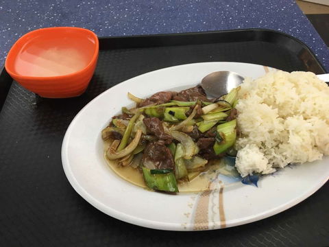 Oriental Dumpling King - Haymarket - Redcliffe Tourism 0