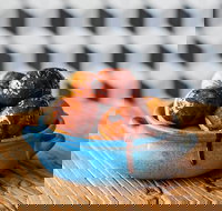 The Yiros Shop - Cannon Hill - Redcliffe Tourism