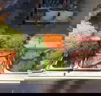 Xcel Roll - Coogee - Redcliffe Tourism