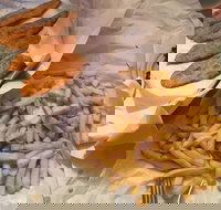 Kingfisher Fish  Chips - Redcliffe Tourism