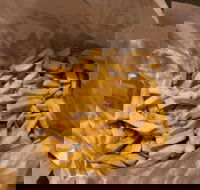 Back Room at Carwyn Cellars - Redcliffe Tourism