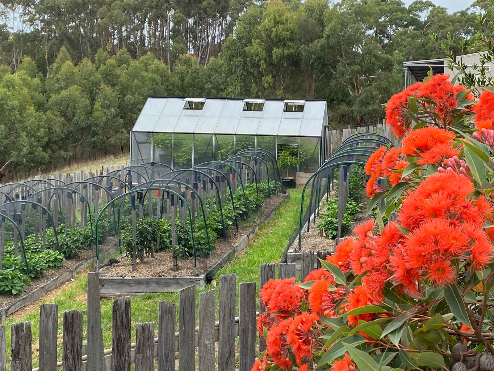 Boonah VIC Redcliffe Tourism