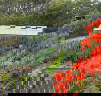 Hot Chilli Mama - Redcliffe Tourism