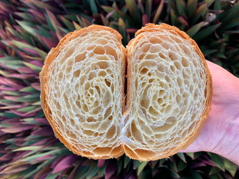 La Bouche - Redcliffe Tourism 0