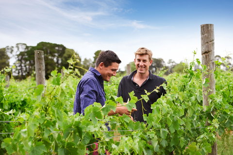 Shadowfax Winery - Redcliffe Tourism 1