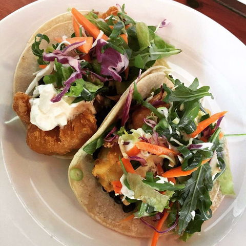 Argo Cafe Restaurant - Redcliffe Tourism 0