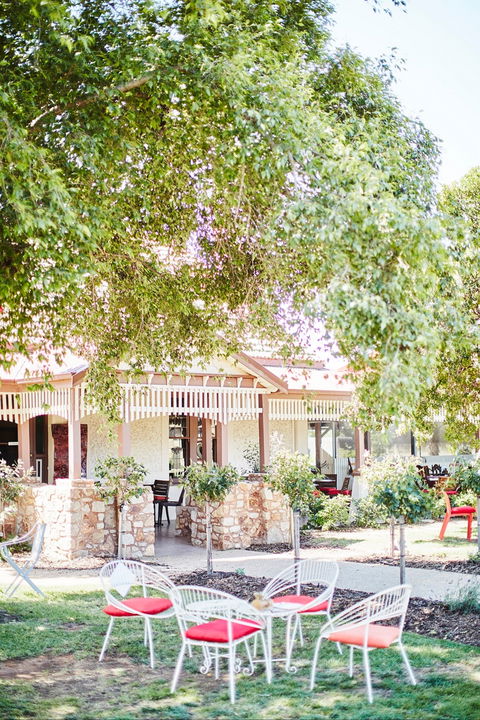 Rich Glen Olive Farm - Redcliffe Tourism 1