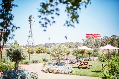 Rich Glen Olive Farm - Redcliffe Tourism 2