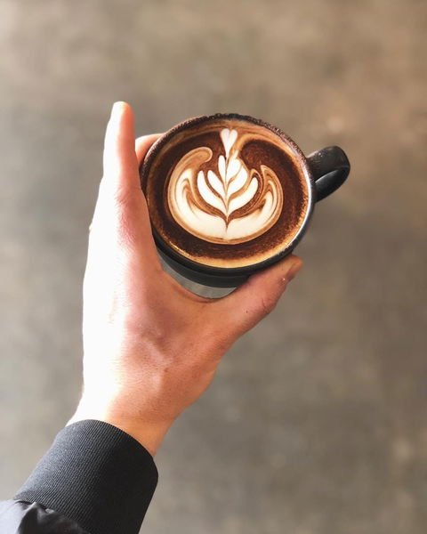 Buddy Espresso - Redcliffe Tourism 0