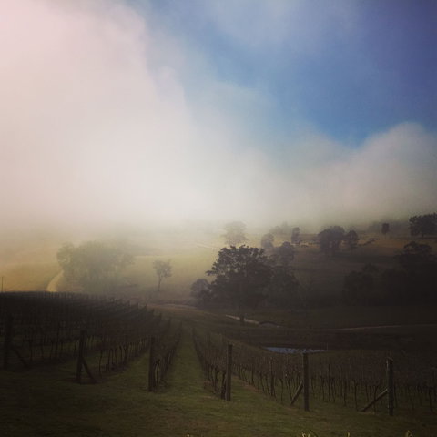 Dryridge Estate - Redcliffe Tourism 1