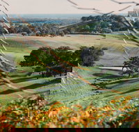 Green Door Winery Cellar Door - Redcliffe Tourism