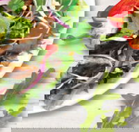 Sumo Salad - South Brisbane - Redcliffe Tourism