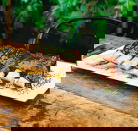 The Royal Botanical at the Royal Leichhardt - Redcliffe Tourism