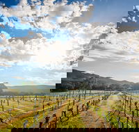 Fallen Giants Vineyard - Redcliffe Tourism