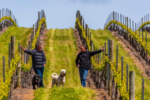 Tim Adams Wines - Redcliffe Tourism 2