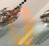 Where Ya Bean - Redcliffe Tourism