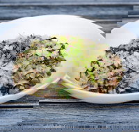 Coogee Diggers - Redcliffe Tourism