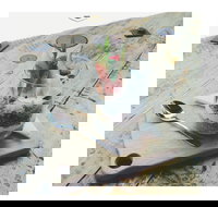 Dose Espresso - Redcliffe Tourism