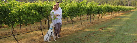 Greenway Wines - Redcliffe Tourism 1