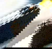 Noci Licensed Restaurant - Redcliffe Tourism